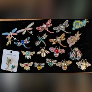 Colorful Brooch Collection